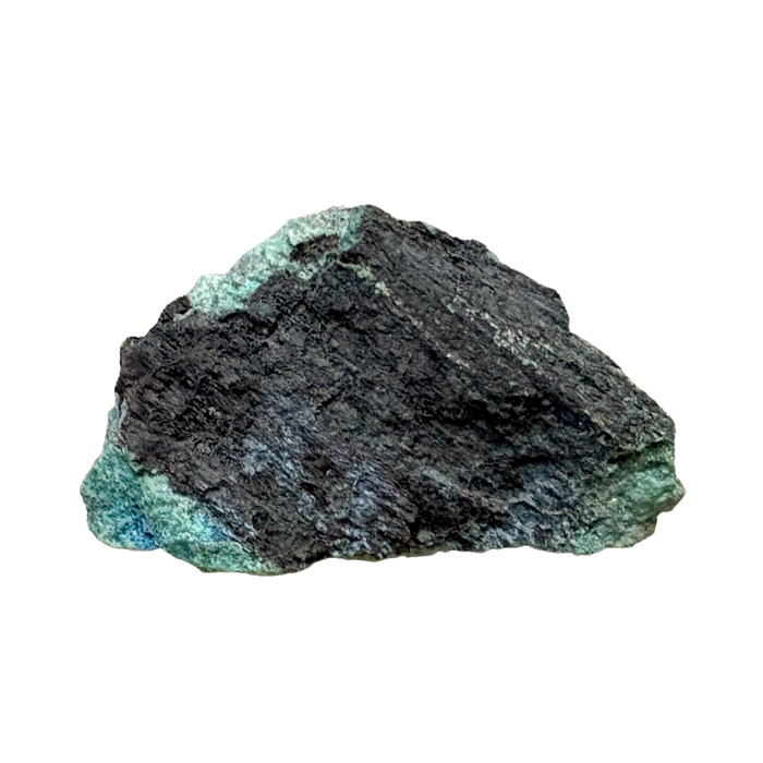 Petrified Wood, "Nacimiento" (Triassic, Sandoval Co., New Mexico)