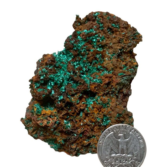 Malachite with Goethite (Mexico)