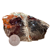 Petrified Wood (China)