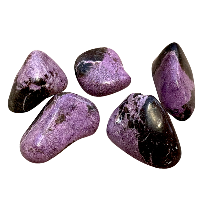 Stichtite with Serpentine (Atlantasite) Pebble