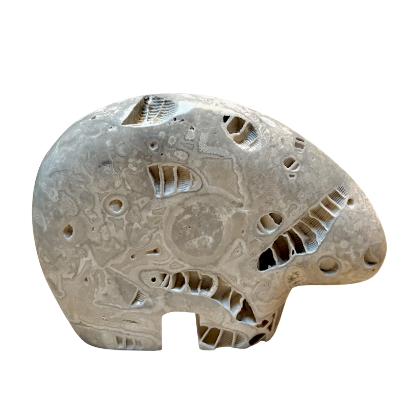 Bear Fetish Carving in Fossil Limestone