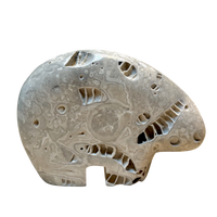 Bear Fetish Carving in Fossil Limestone