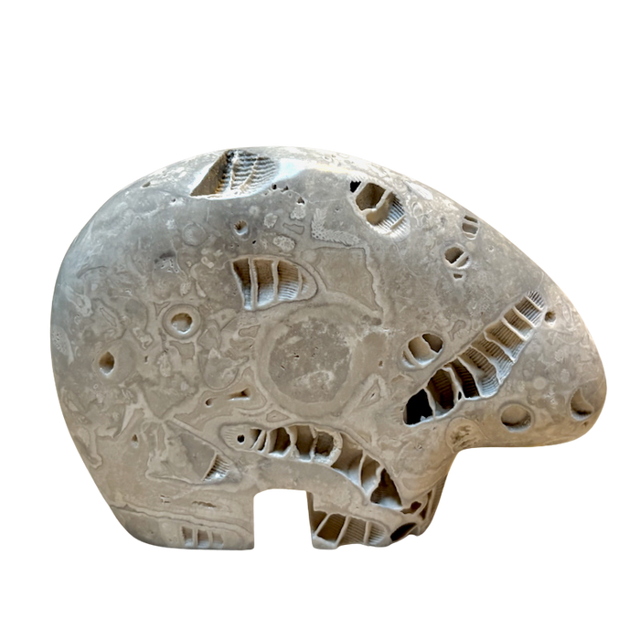 Bear Fetish Carving in Fossil Limestone