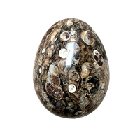 Agate (Turritella) Polished Egg (Wyoming)