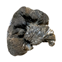 Goethite (Teller Co., Colorado)