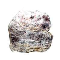 Lepidolite (Mora County, New Mexico)