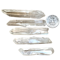 Quartz "Ice Crystal" Wands (Arkansas) (larger)