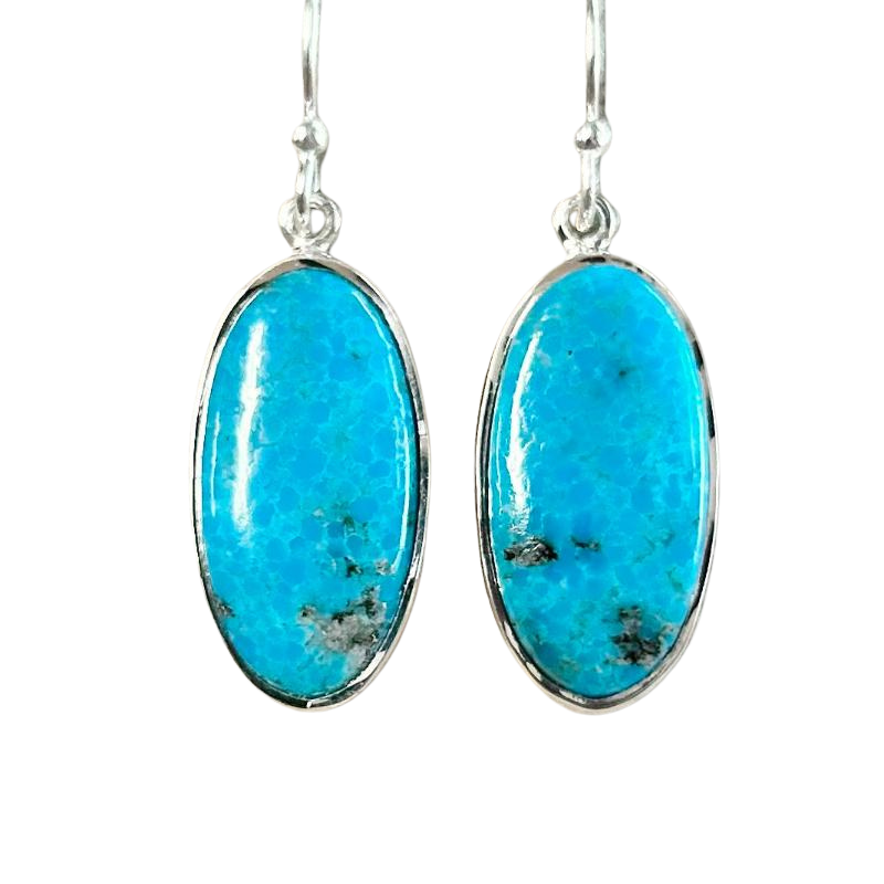 Turquoise Dangle Earrings
