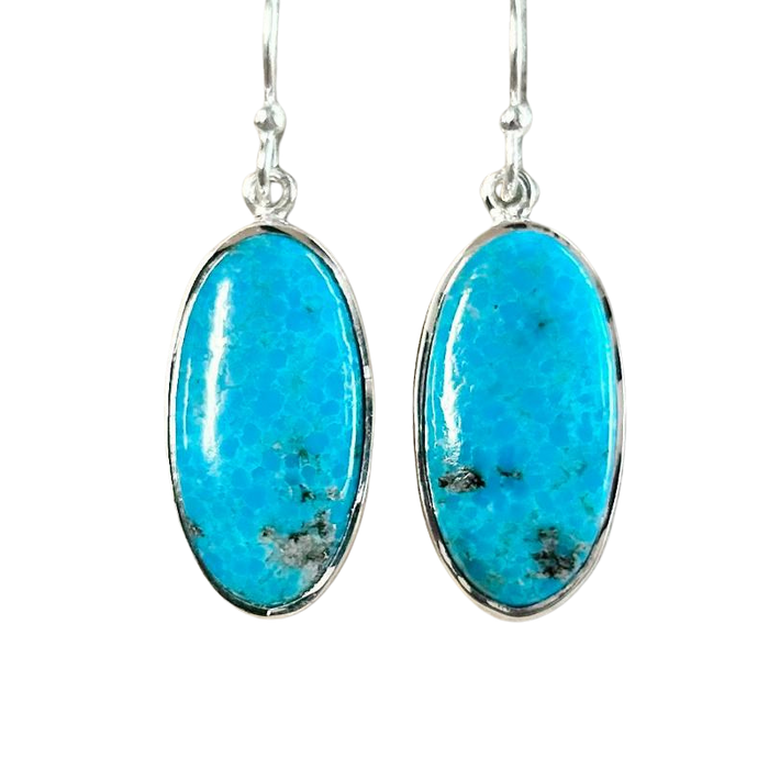 Turquoise Dangle Earrings