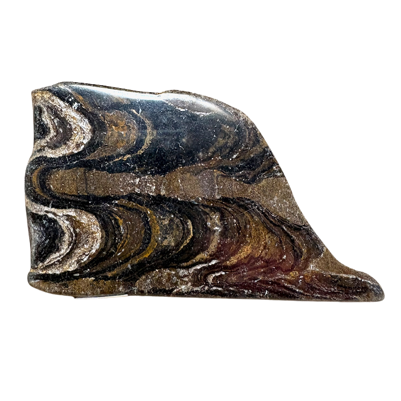 Stromatolite (Bolivia)