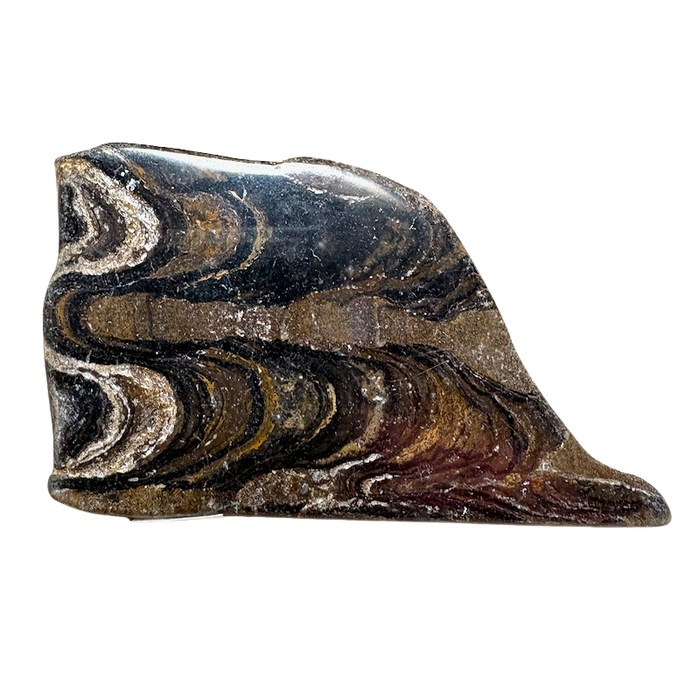 Stromatolite (Bolivia)