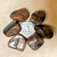 Chiastolite Polished Pebble
