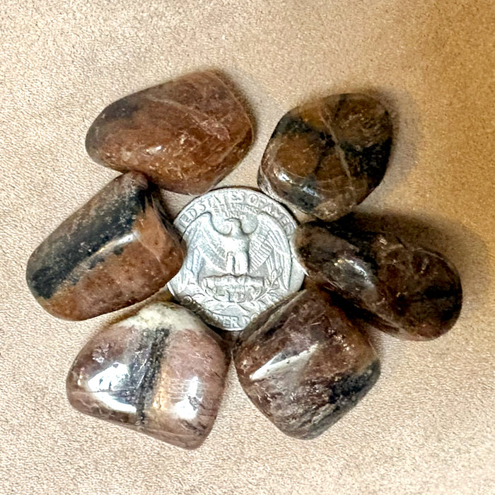 Chiastolite Polished Pebble