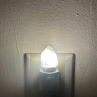 Night Light, Chlorite Quartz Crystal