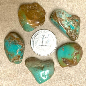 Turquoise Natural Polished Pebble