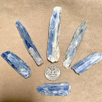 Kyanite Blue Blade Crystal (Brazil)