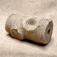 Fossil Crinoid Stem (Silurian, Morocco)