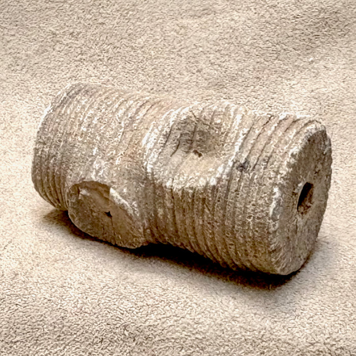 Fossil Crinoid Stem (Silurian, Morocco)