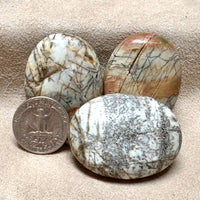 Jasper, Network, Palmstone