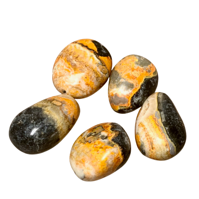 Jasper (Bumble Bee) Polished Pebble