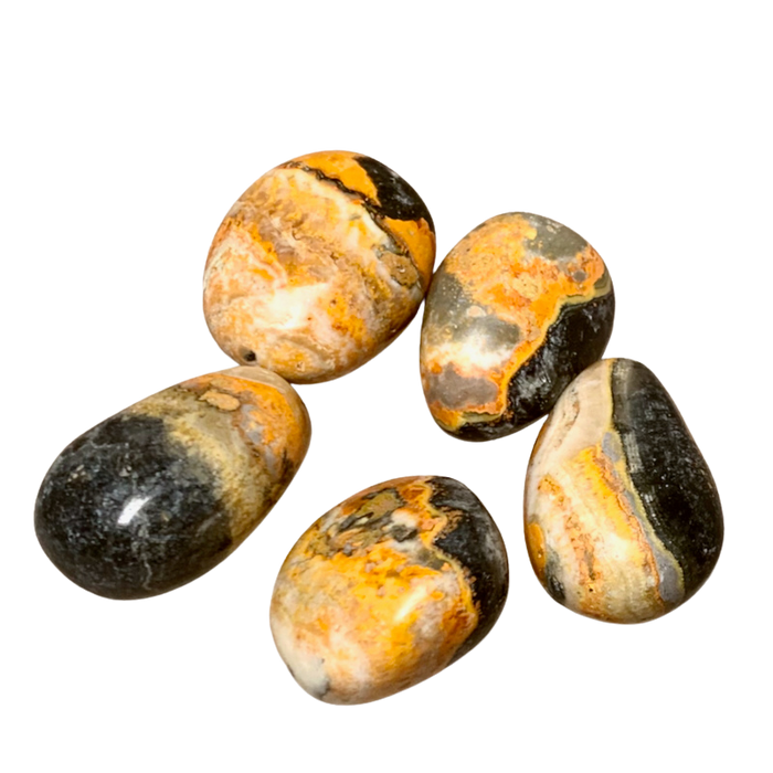 Jasper (Bumble Bee) Polished Pebble