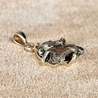Meteorite Pendant