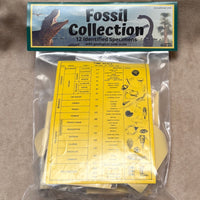 Fossil Collection Kit