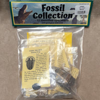 Fossil Collection Kit