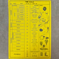 Fossil Collection Kit