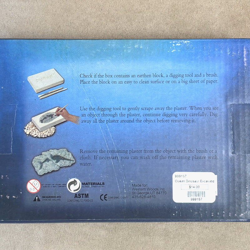 Ocean Fossil Excavation Kit