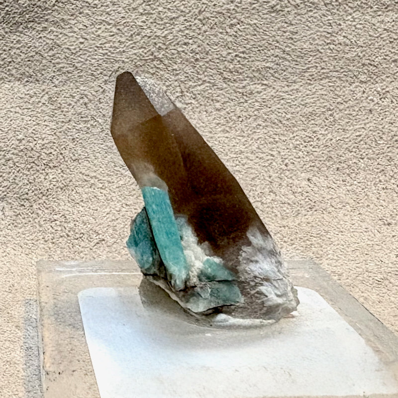 Smoky Quartz with Amazonite (Colorado)