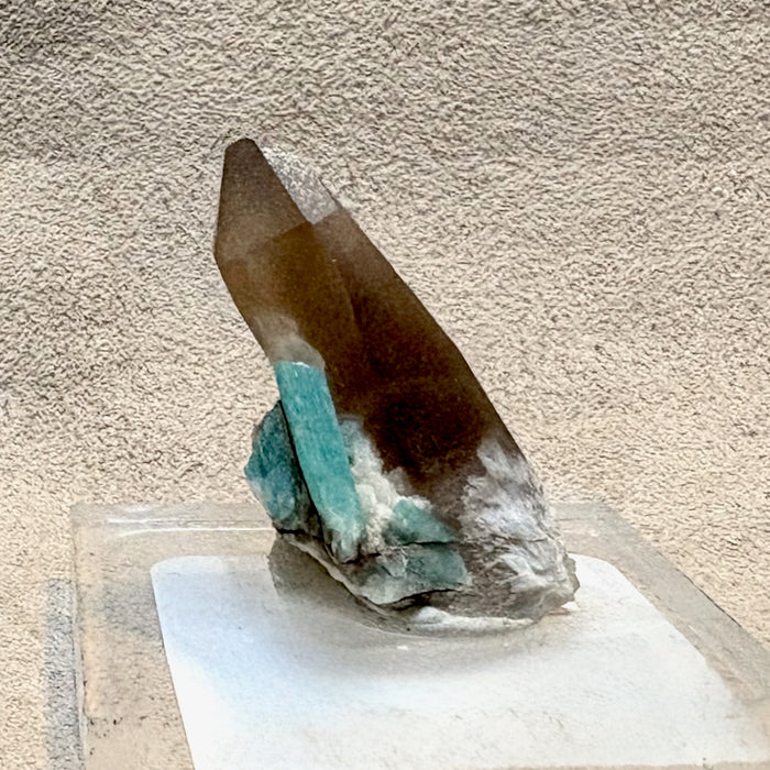 Smoky Quartz with Amazonite (Colorado)