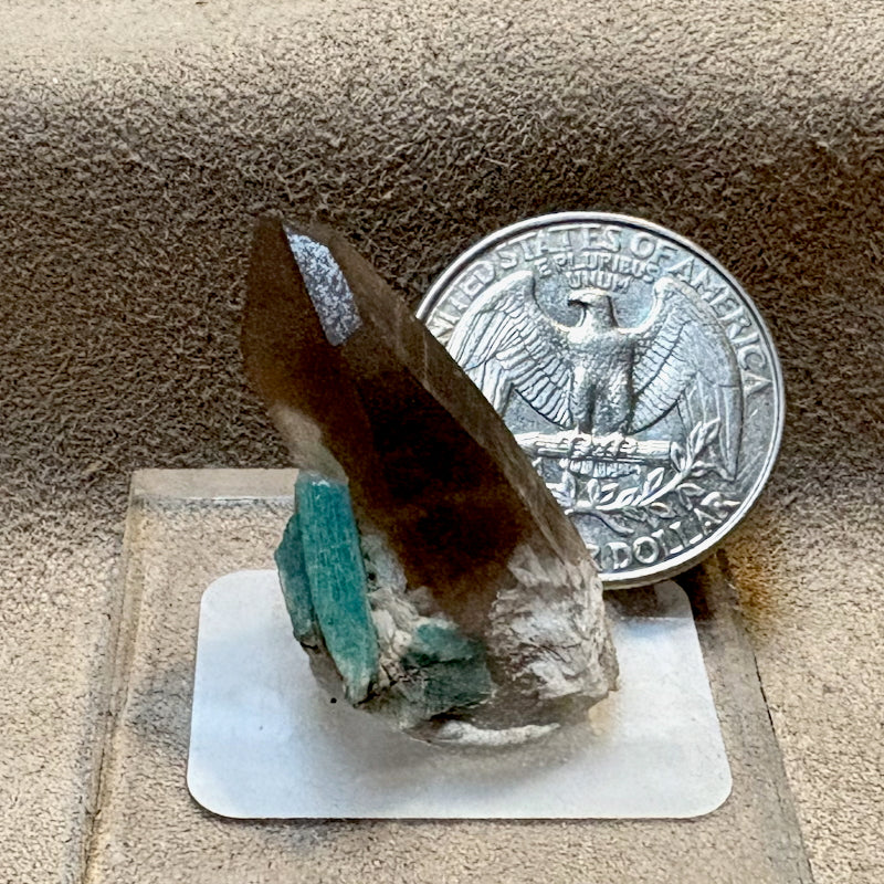 Smoky Quartz with Amazonite (Colorado)