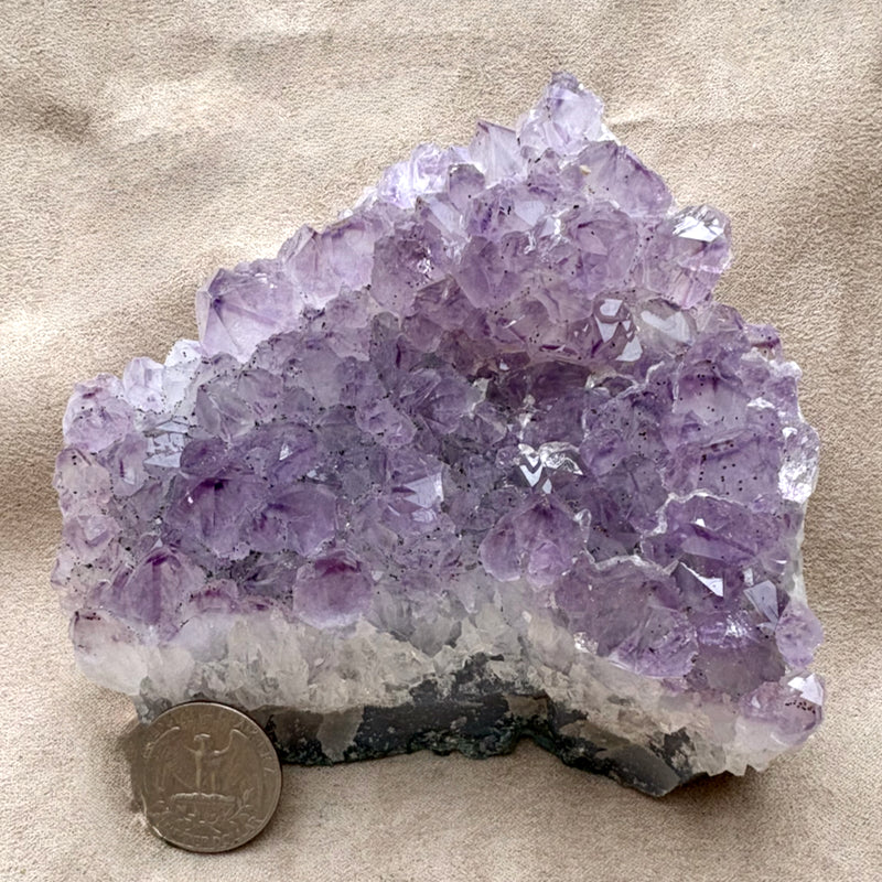 Amethyst Crystal Cluster (Brazil)