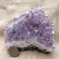 Amethyst Crystal Cluster (Brazil)