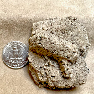 Dolomite after Aragonite (Chaves Co., New Mexico)
