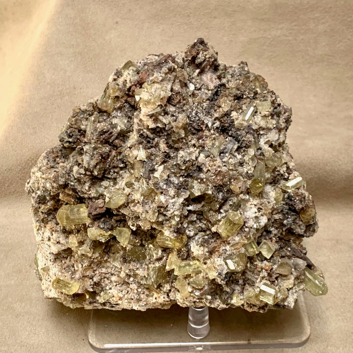 Fluorapatite and Magnetite in Matrix (Mexico)