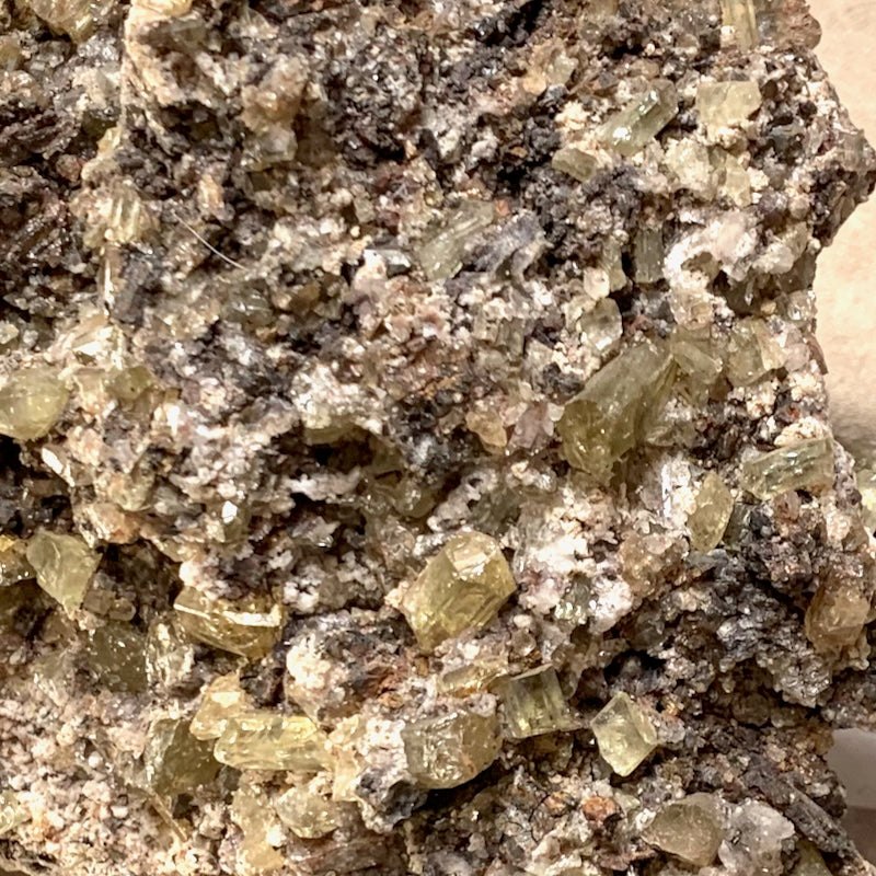 Fluorapatite and Magnetite in Matrix (Mexico)