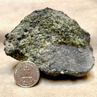 Peridotite Nodule (Dona Ana Co., New Mexico)