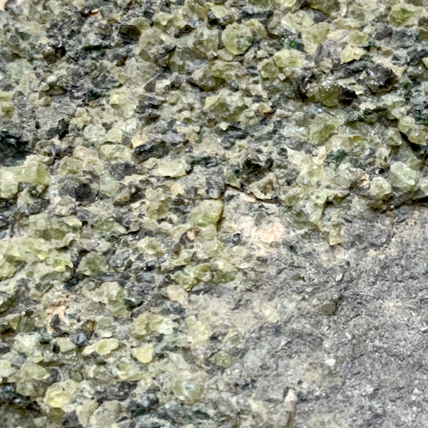 Peridotite Nodule (Dona Ana Co., New Mexico)