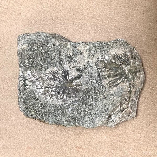 Holmquistite (China)