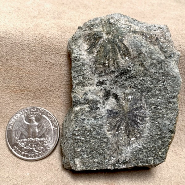 Holmquistite (China)