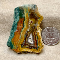 Geode Slice, Orpheus Agate (Bulgaria)