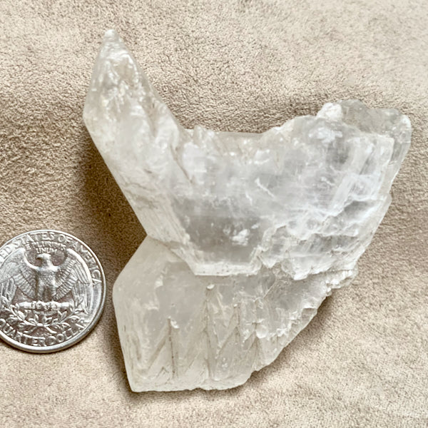 Gypsum (Selenite) "Fishtail Twin" (Mexico)