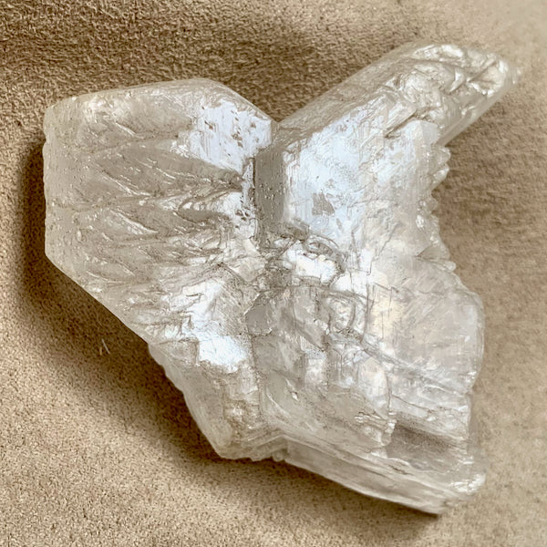 Selenite "fishtail twin" crystal (Mexico)