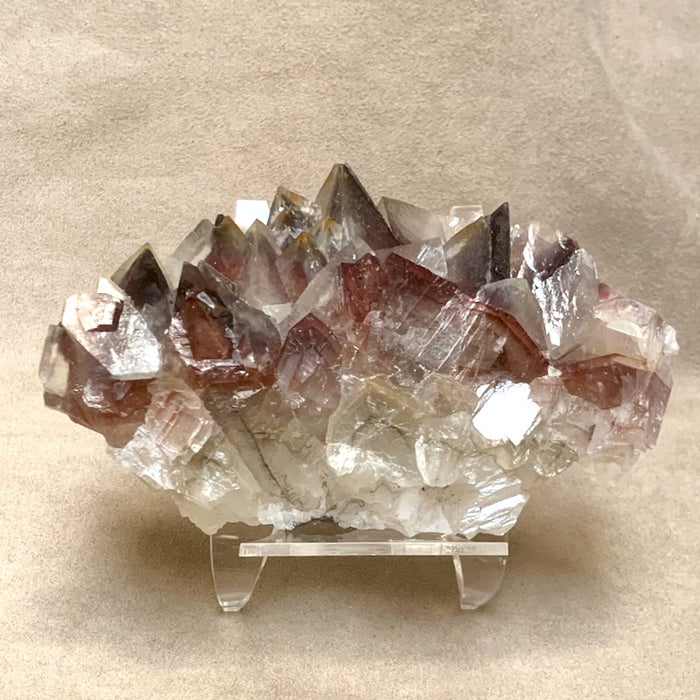 Calcite (Mariposa Dogtooth) with Hematite Phantoms (Mexico)