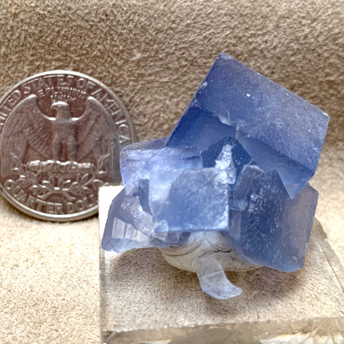 Fluorite Crystal (Socorro Co., New Mexico)