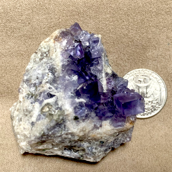 Fluorite, Barite and Galena (Socorro County, New Mexico)