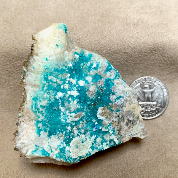 Quartz and Spangolite (Socorro County, New Mexico)