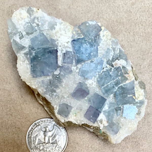 Fluorite and Barite (Socorro County, New Mexico)